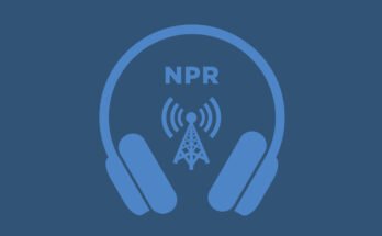 Radiolab celebrates the "jaws" anniversary: ​​NPR