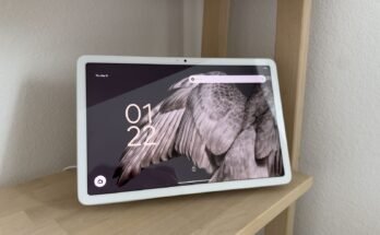 White tablet on a light wooden shelf with the screen showing time and a close -up view of bird feathers