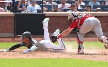 Notes Mets: David Peterson delivers as a plug; Luis Torrens is amends