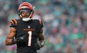 Fantasy football 2025 classification, draft preparation: optimal choice QB, RB, WR and TE, cheat sheets, ADP, NFL third